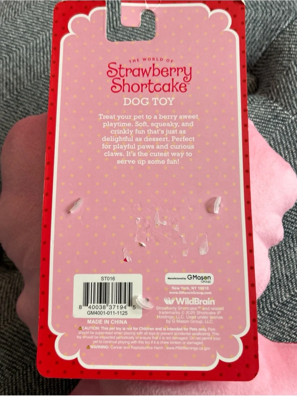 Strawberry Shortcake Dog Toy- NWT